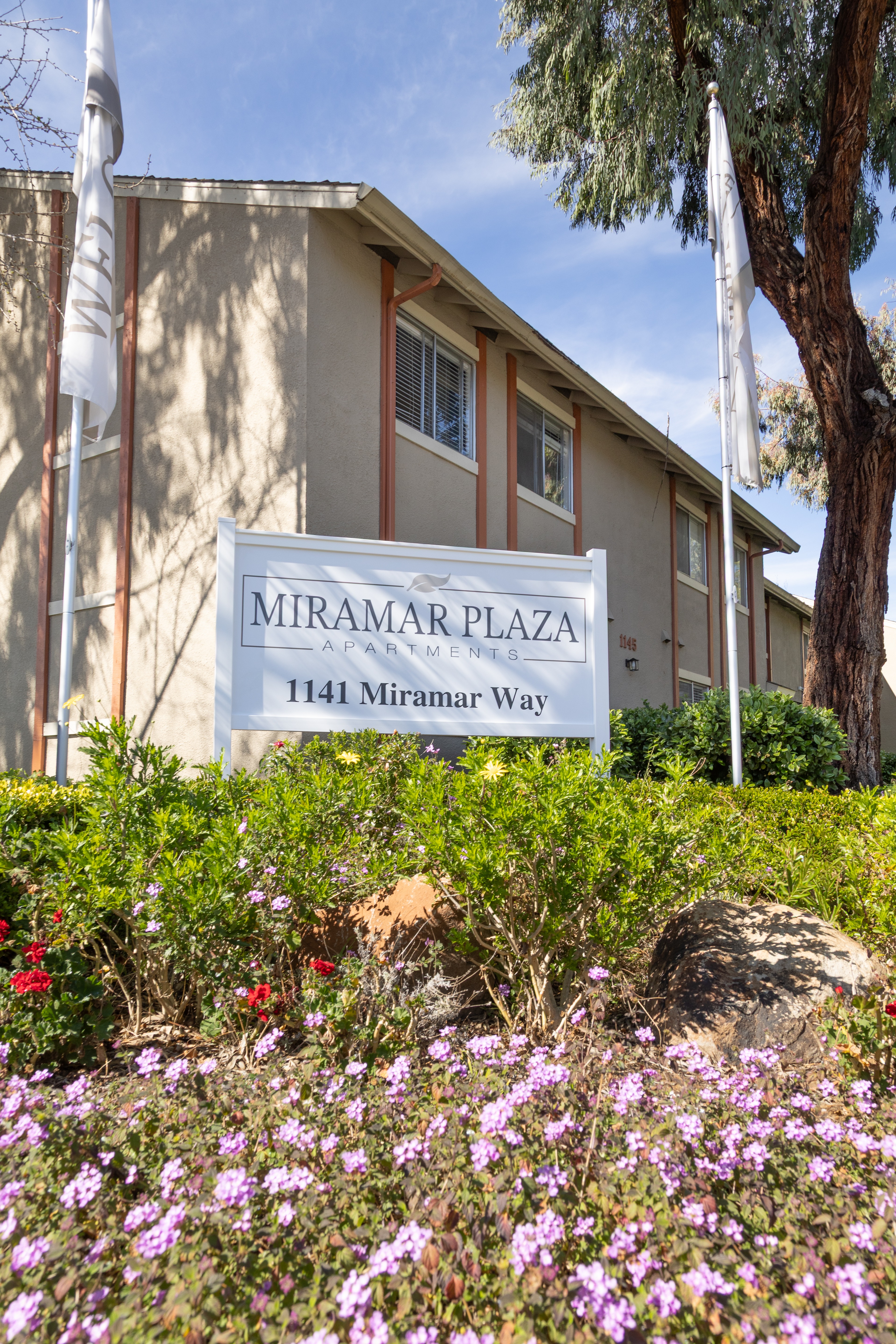 Miramar Plaza photo 4